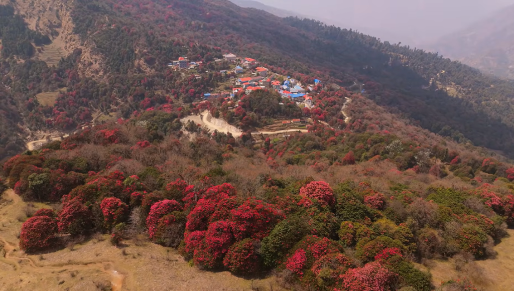 Trek to Ghorepani (2,860 m)