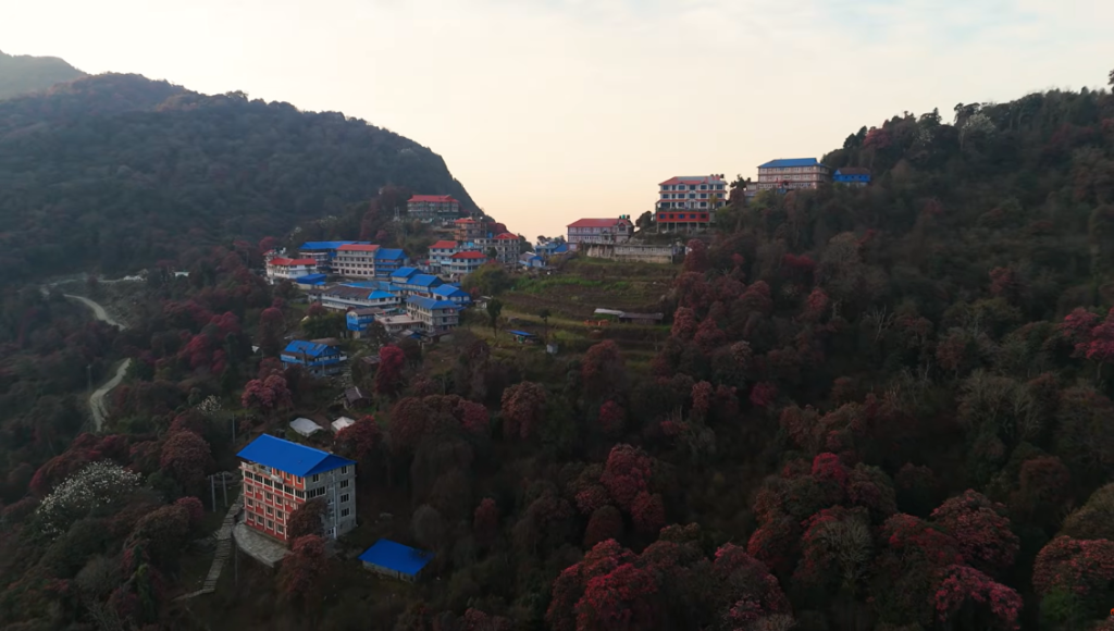Trek to higher camps (Bamboo / Himalaya / Deurali)