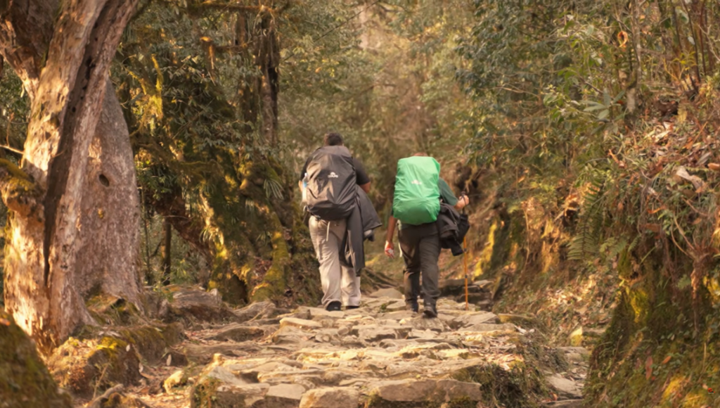 Trek to Tadapani (2,630 m)