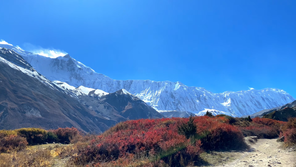 Cross Thorong La (5,416 m) to Muktinath