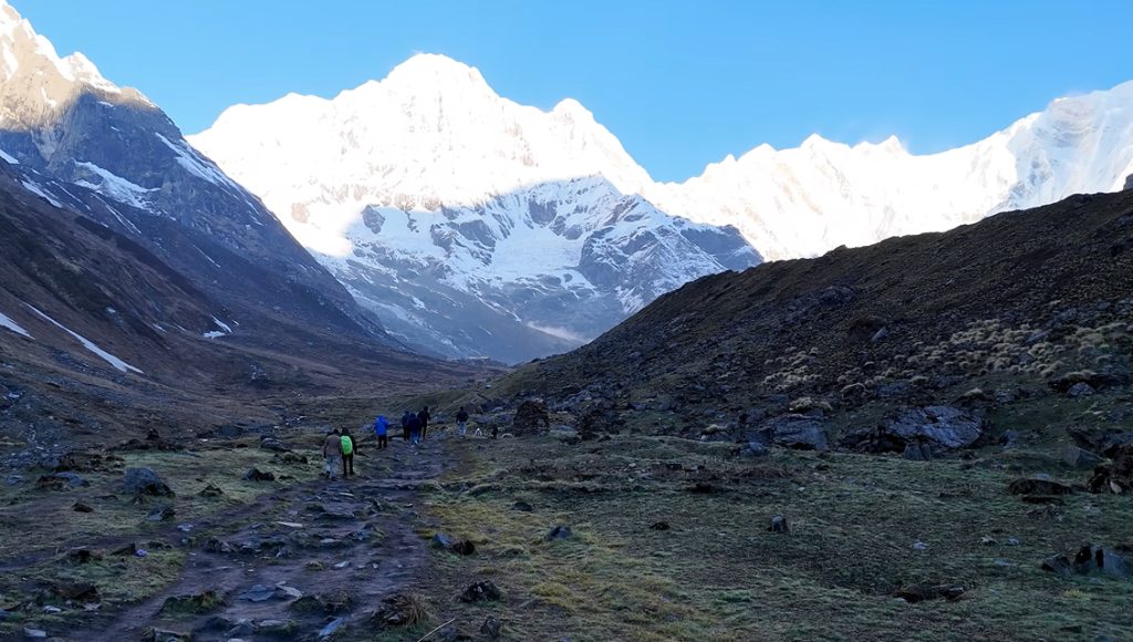 Trek to Himalaya (2,920 m)